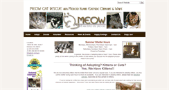 Desktop Screenshot of meowcatrescue.org